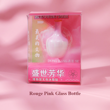 Load image into Gallery viewer, Beijing Forbidden City Fridge Magnet Set