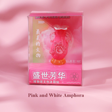 Load image into Gallery viewer, Beijing Forbidden City Fridge Magnet Set